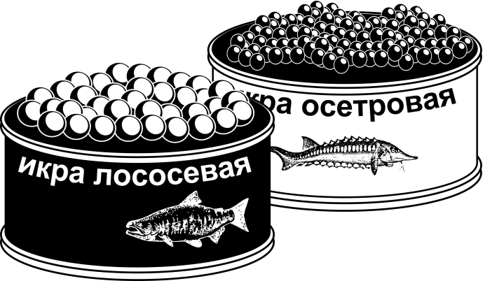 Севрюга рыба