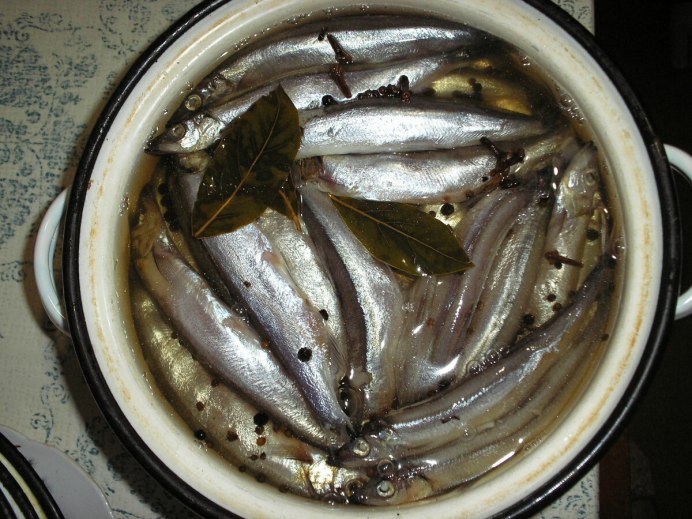 Вырезуб rutilus Frisii