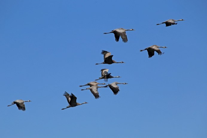 Журавлиный Клин осенью