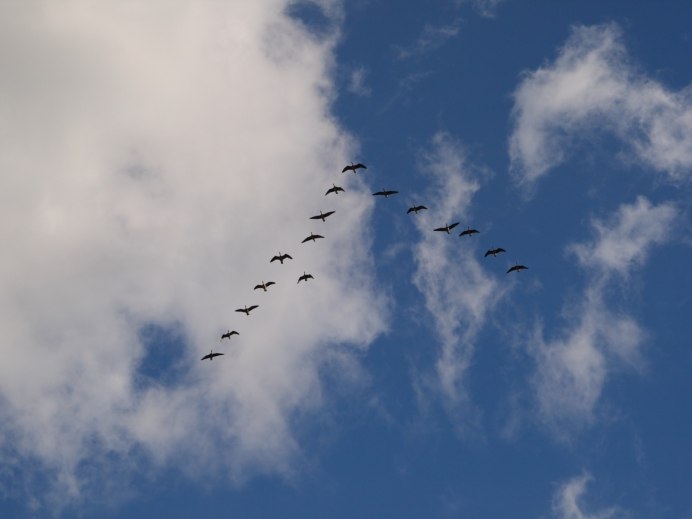 Журавлиный Клин