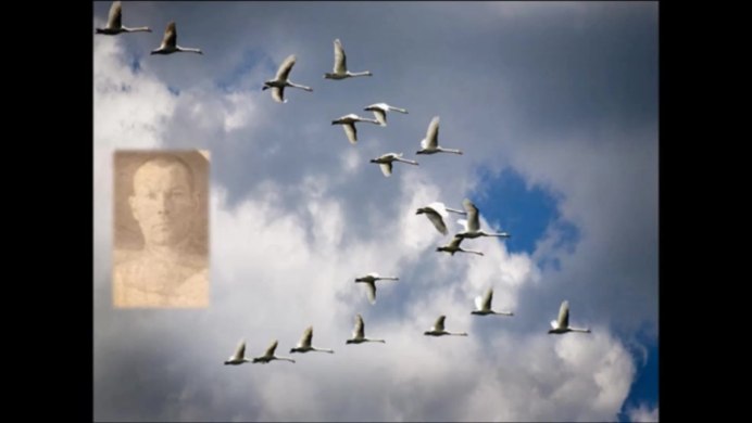 Гусей крикливых Караван