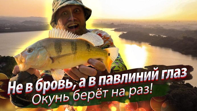 Цихлида теменсис