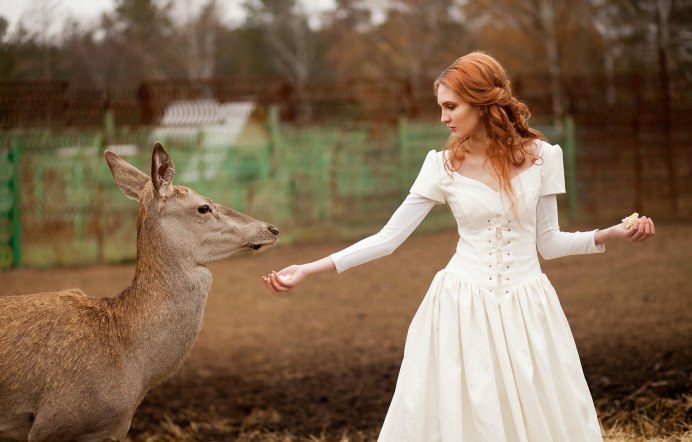 Европейский благородный олень
