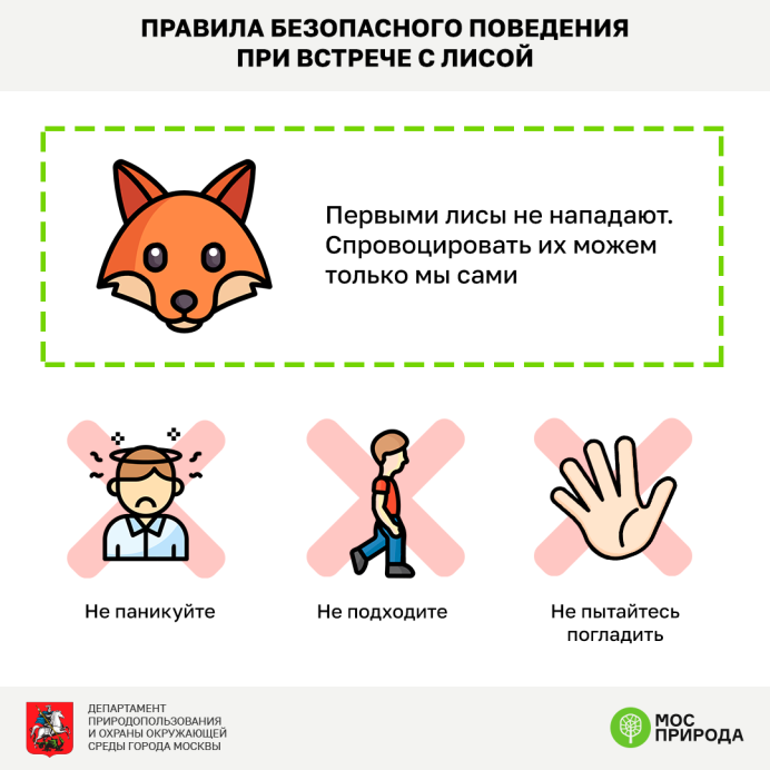 Девятихвостый Лис кумихо