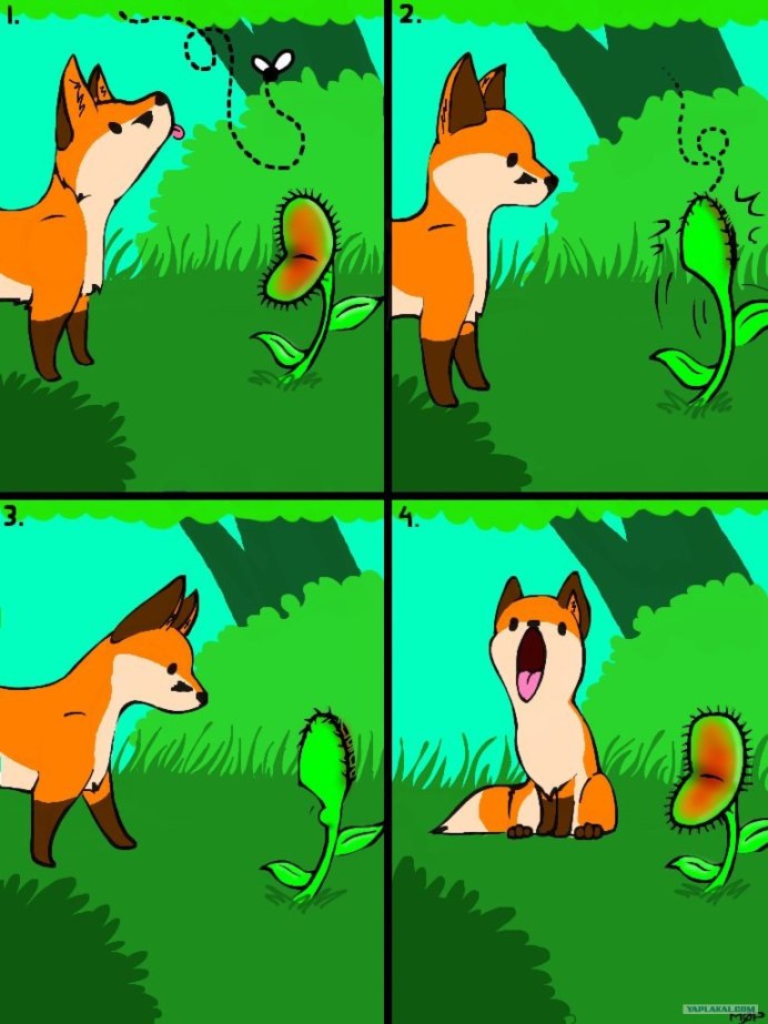 Furry в очках