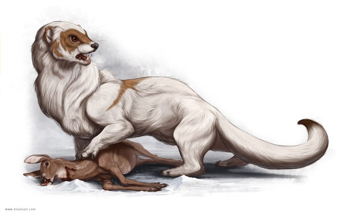 Mustela kathiah