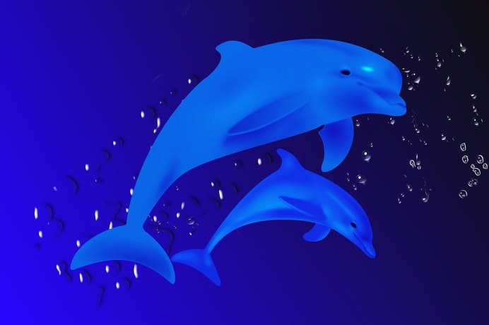 Картинки на рабочий стол дельфины 3d