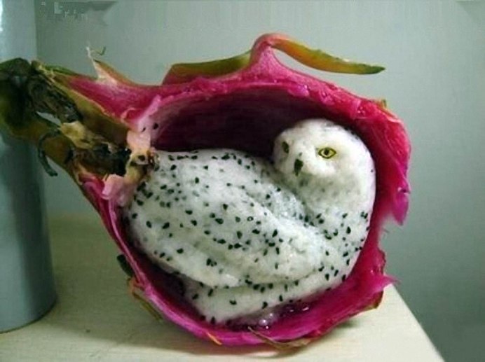 Птица фрукт