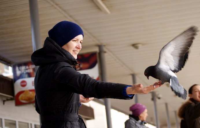 Люди кормят голубей