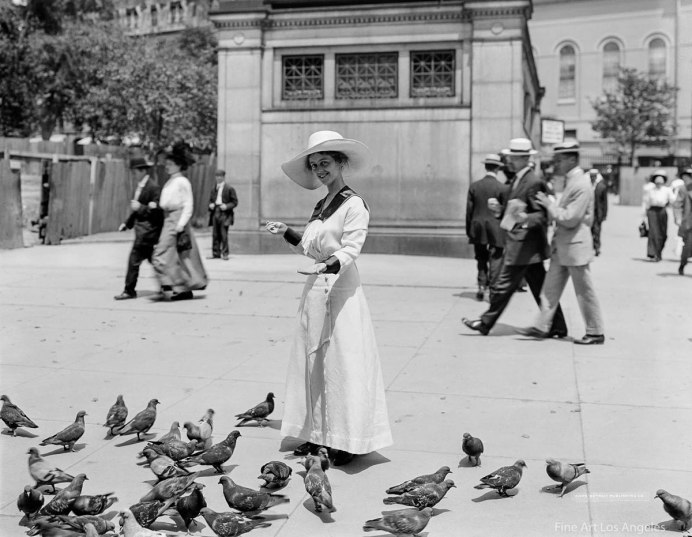 Майк Тайсон голубятник