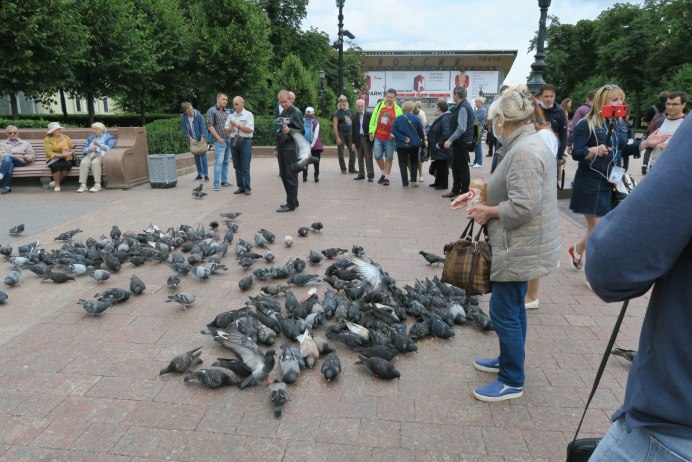 Голубь за миллион