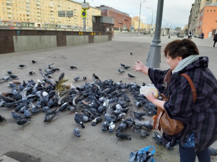 Человек голубь