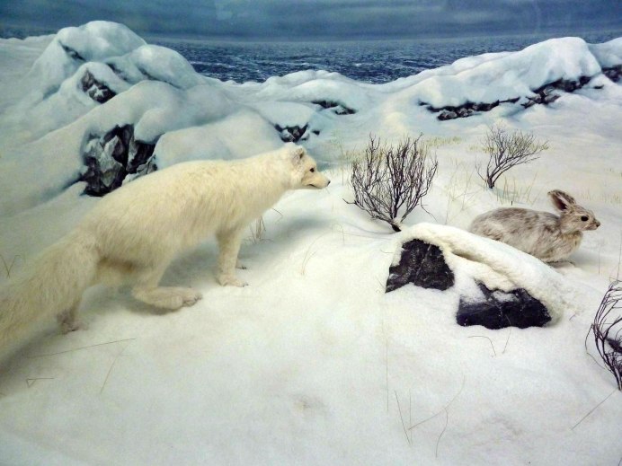 Пейзаж с белыми медведями