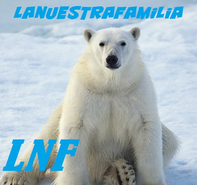 Песец на Северном полюсе