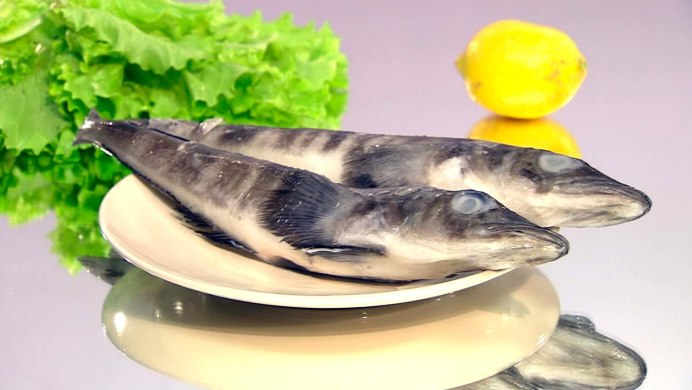 Акула Барракуда
