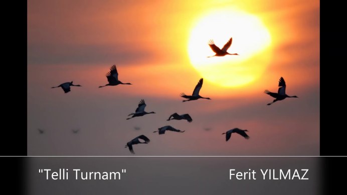 Охота на журавля