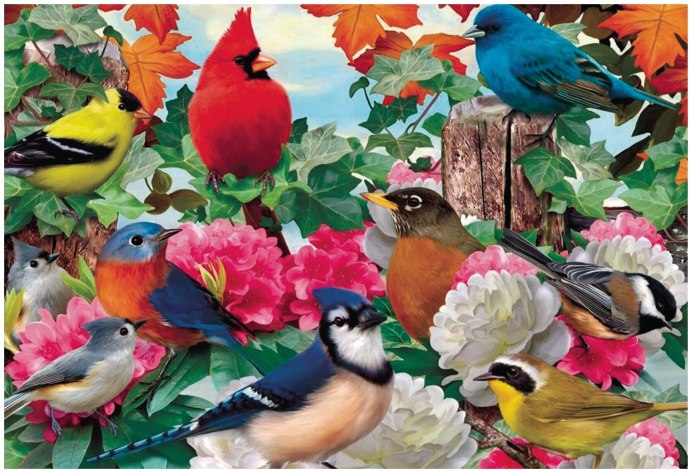 Очень много птиц