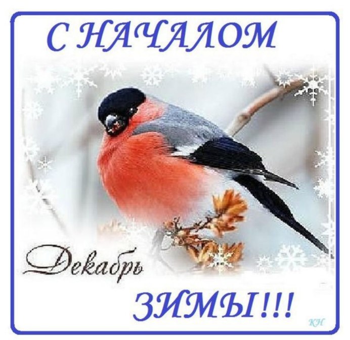Самка снегиря фото