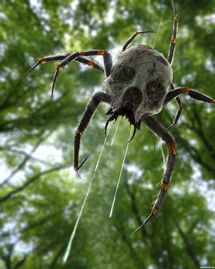 Пауки страшные престрашные