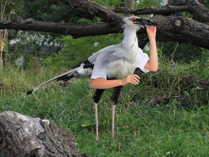 Птица с руками так блэт