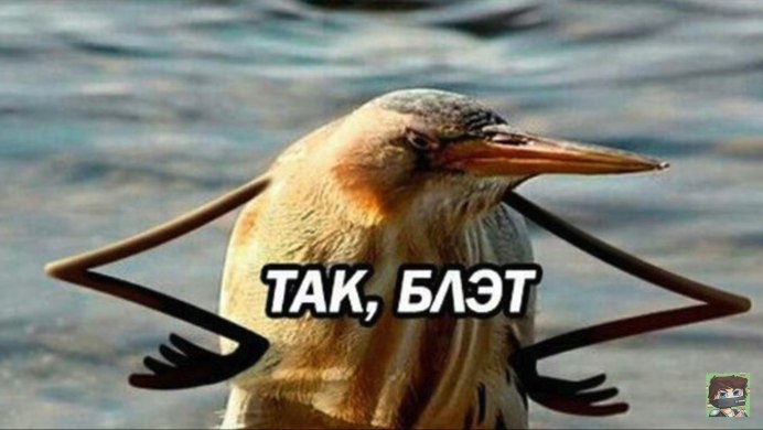 Аист съел зайца