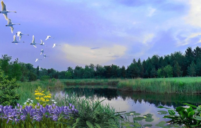 Весна лес река