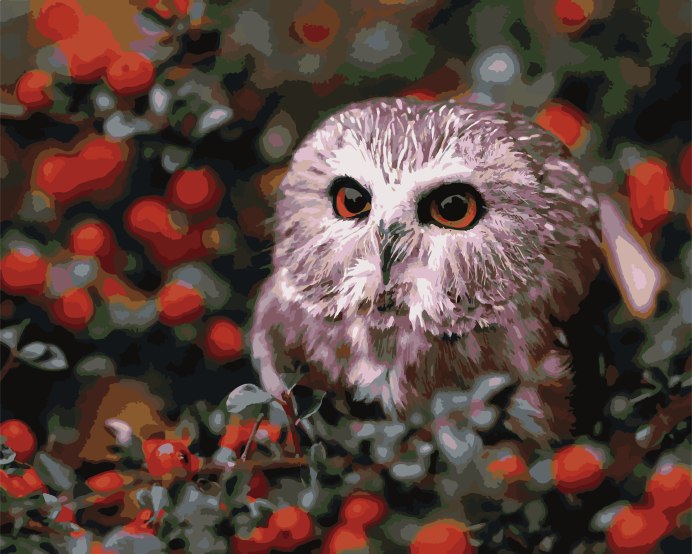 Заставка на рабочий стол Сова