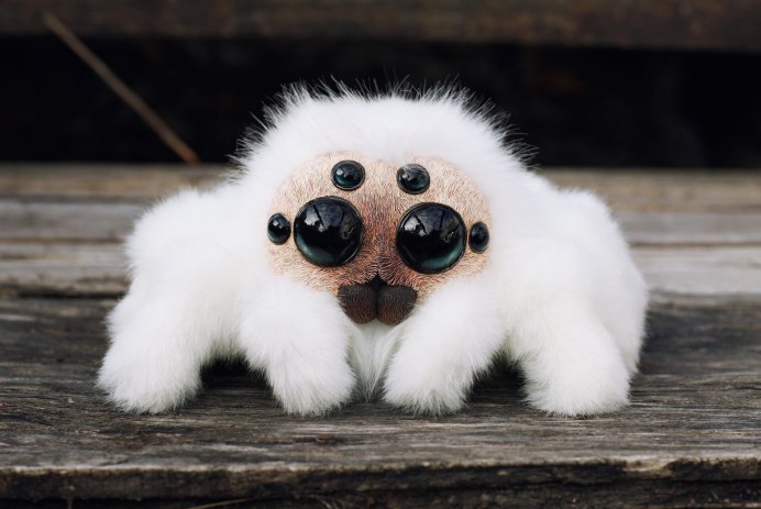 Горностай (Mustela erminea)