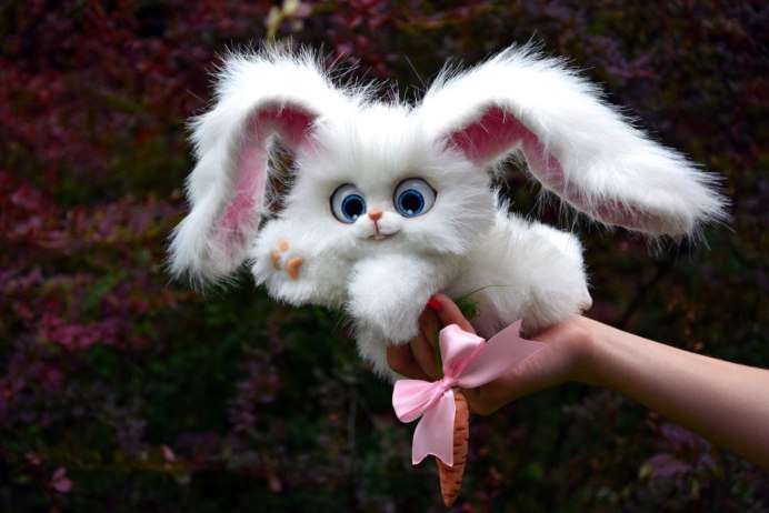 Белая кошка Мейн кун