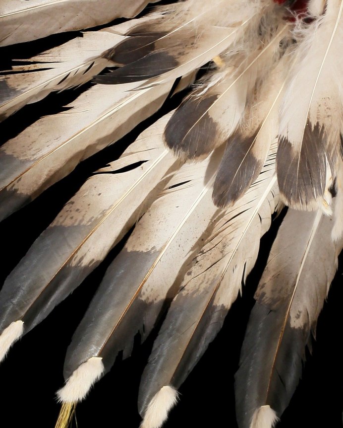 Темно зеленая птица