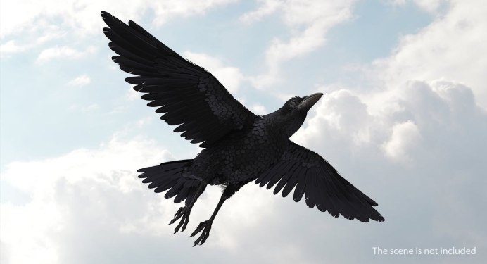 Стая ворон