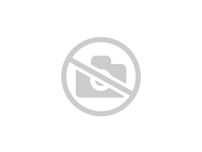 Утюг Rowenta dw5210f1