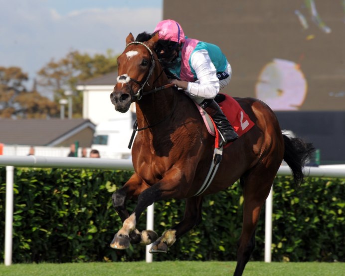 Frankel жеребец