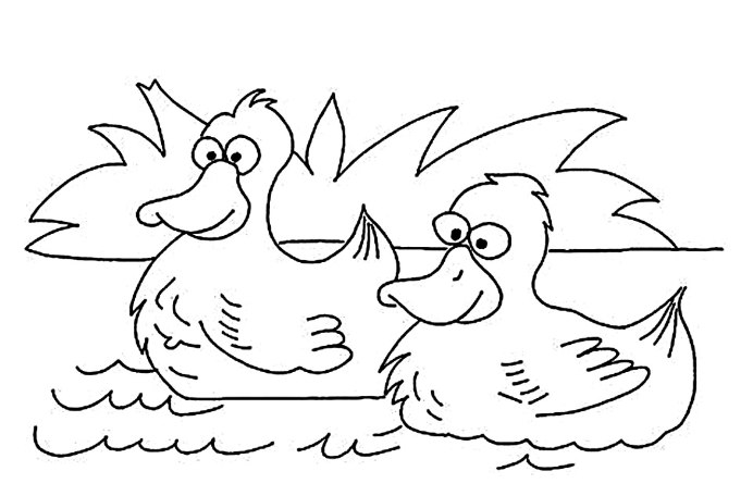 Утка Мандаринка раскраска