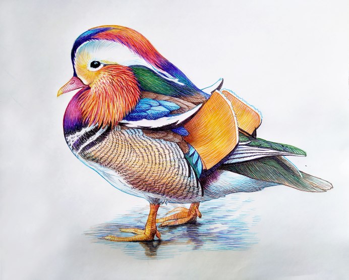 Мандаринка Хасан