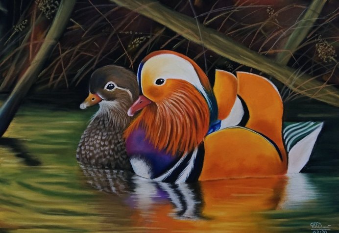 Утка Мандаринка для детей