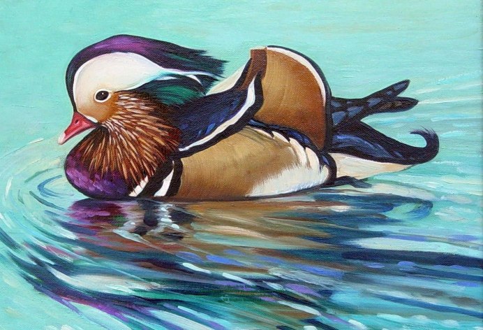 Рисунок утки мандаринки