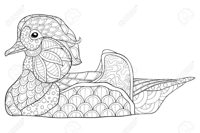 Утка Мандаринка на белом фоне