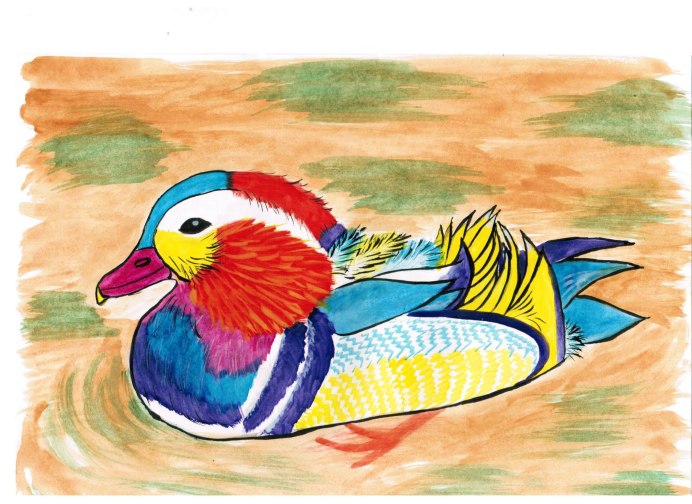 Нарисовать утку мандаринку