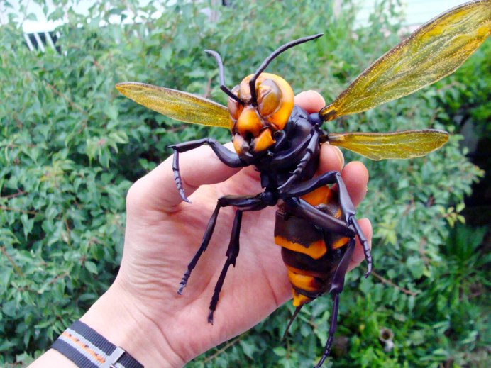 Wasp, Restyling. (Оса), метис