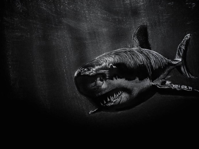 Большая белая акула