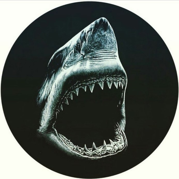 Акула вид сверху