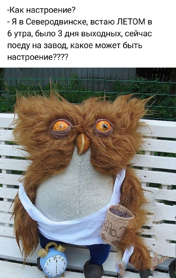 Уставшая Сова