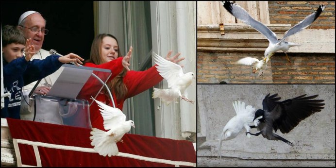 Радужные голуби