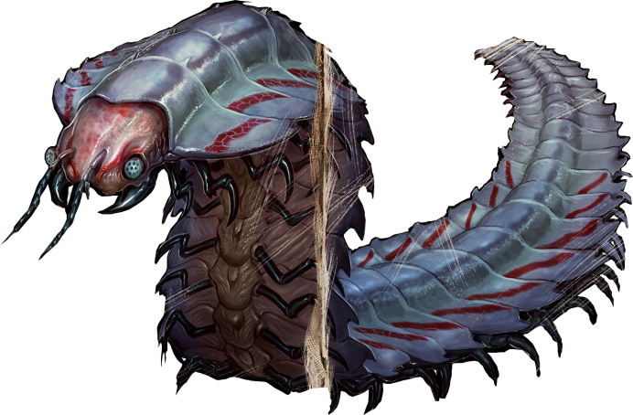 Кольцо сколопендра