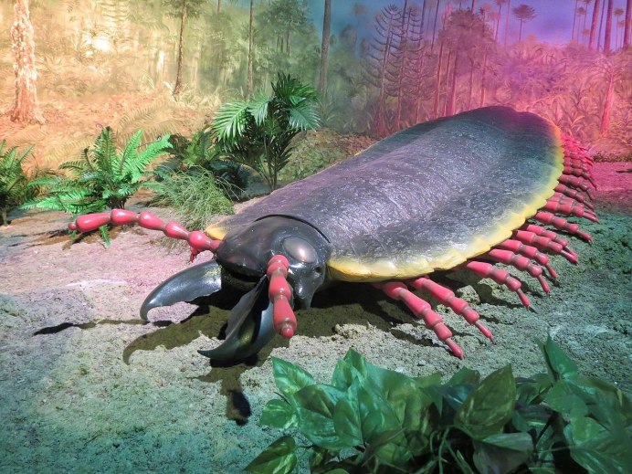 Breaking an giant Centipede in Resin for collection