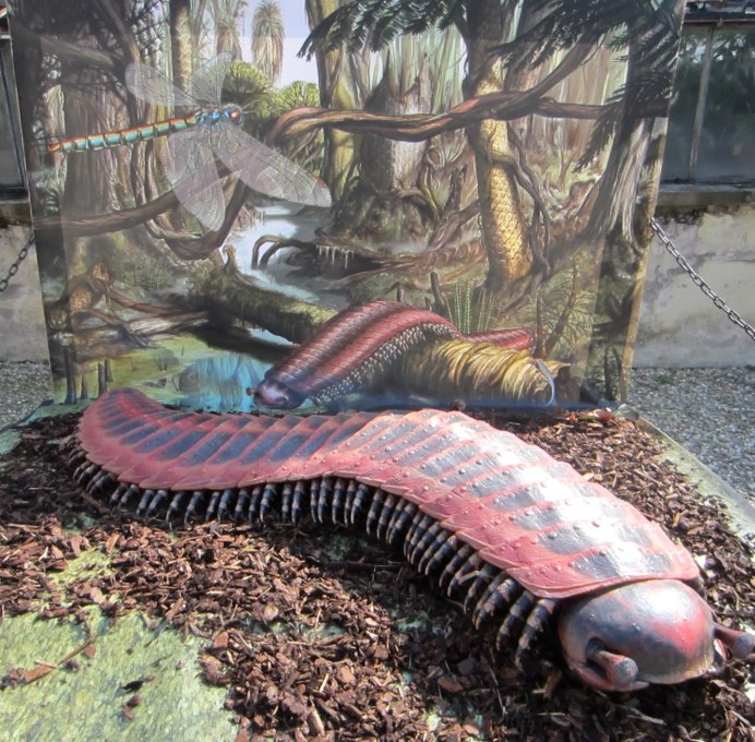 Гигантская многоножка Артроплевра