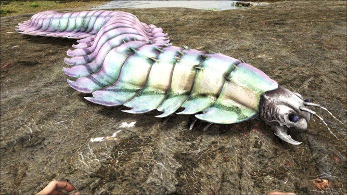 Галлюцигения Кембрий