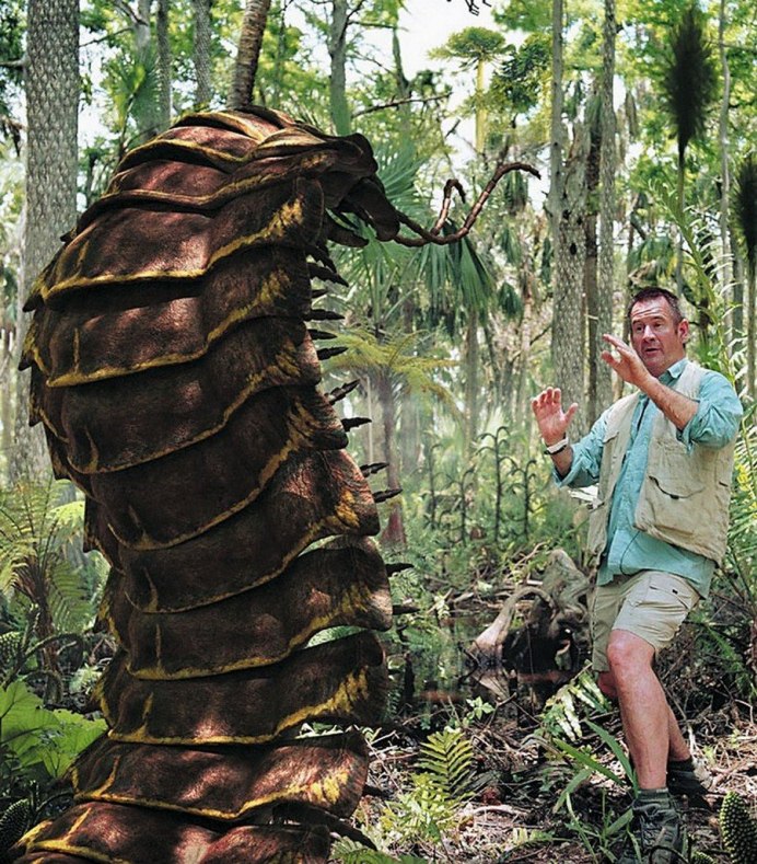 Многоножка Артроплевра