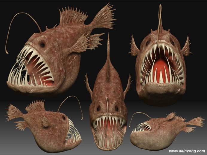 Lasiognathus amphirhamphus
